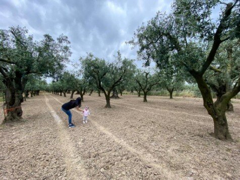 Olio extravergine di oliva per bambini