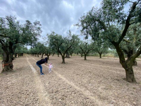 Olio extravergine di oliva per pelle Neonati Olio extravergine di oliva per bambini